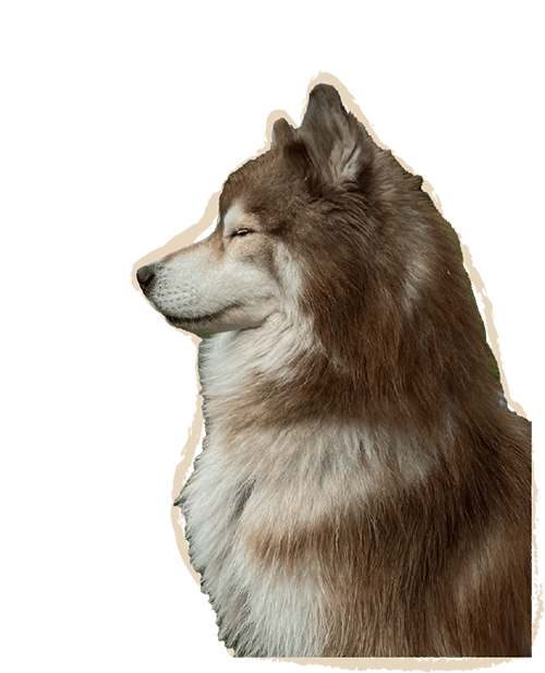 Entdecke Pinterest als Marketing-Lösung für dein Business! Verena Ratz aus Tirol unterstützt dich dabei, deine Inhalte strategisch zu positionieren und online sichtbar zu werden. Mit ihrem Full-Service-Angebot, Coachings und Workshops hilft sie Unternehmen, Onlineshops und Hotels, Pinterest erfolgreich einzusetzen. Pinterest ist eine visuelle Suchmaschine, die dir langfristige Ergebnisse liefert – ohne Social-Media-Stress. Verena sorgt für professionelle Pin-Designs, SEO-optimierte Inhalte und eine klare Strategie, die zu deinem Business passt. Lerne Pinterest gezielt zu nutzen oder überlasse die Arbeit einer erfahrenen Expertin. Nachhaltiges Wachstum beginnt hier!