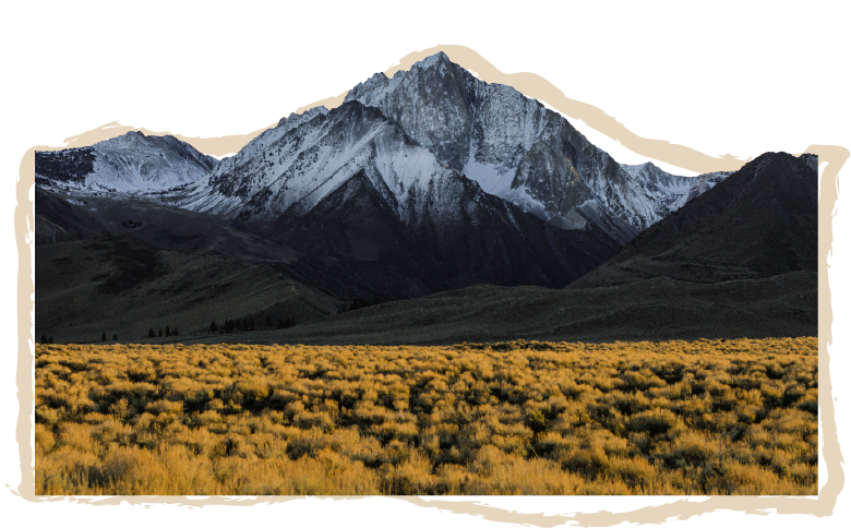 Ganzheitliche Marketing-Zusammenarbeit mit Verena Ratz aus Tirol. Von Website-Erstellung über Content, Grafikdesign und SEO bis hin zu laufender Marketing-Begleitung und Umsetzung – für Businesses, die sichtbar werden und Kund:innen gewinnen wollen.