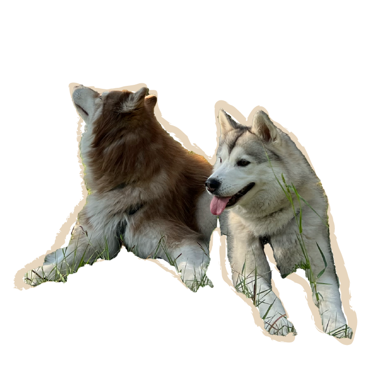 Verena Ratz begleitet Selbstständige, KMU und Hotels in Telfs und Tirol bei Marketing, Website und Sichtbarkeit. Strategische Beratung, Content-Erstellung, Design, Social Media, Newsletter und Umsetzung – verständlich, praxisnah und ohne Agentur-Blabla.